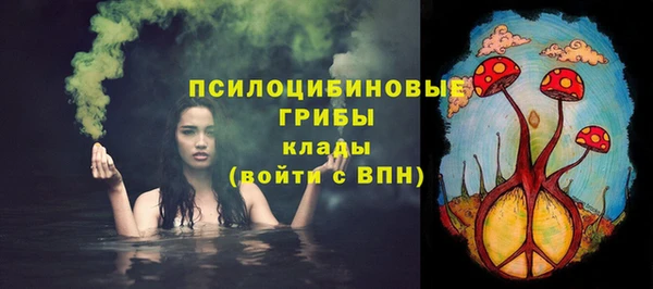 тгк Богданович