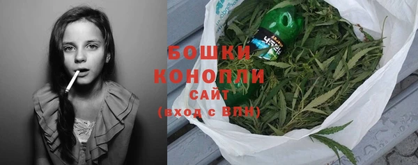 тгк Богданович
