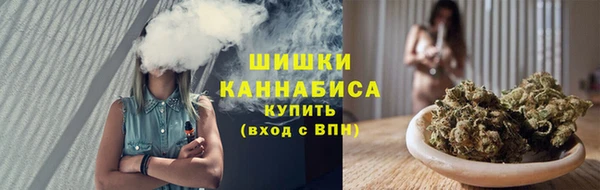 стаф Богородицк