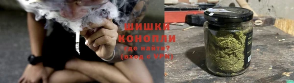 тгк Богданович