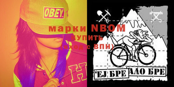 стаф Богородицк
