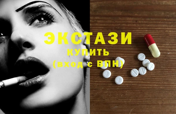 ECSTASY Богородск