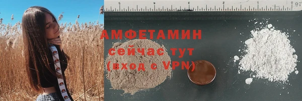 гашик Дмитров
