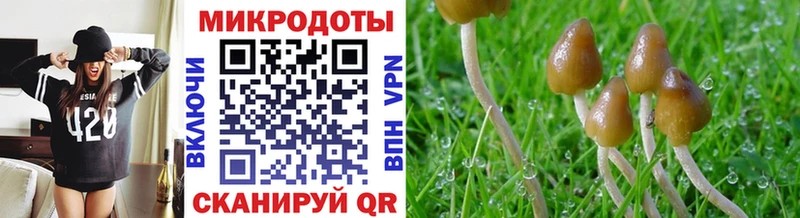 Псилоцибиновые грибы ЛСД  цена наркотик  Воскресенск 